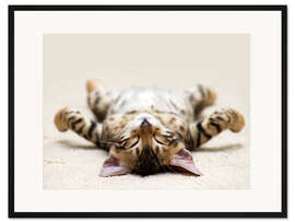 Gerahmter Kunstdruck Müde Mieze