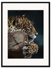 Framed art print Restful Leopard