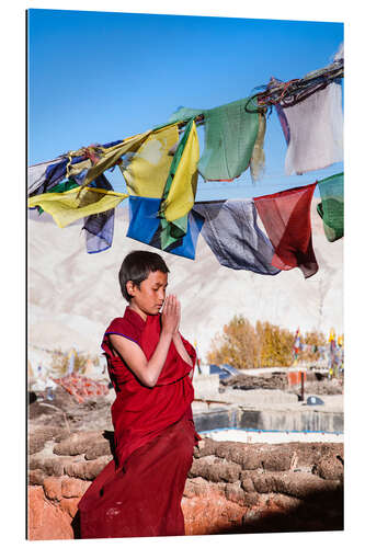 Gallery print Young buddhist monk praying, Nepal, Asia