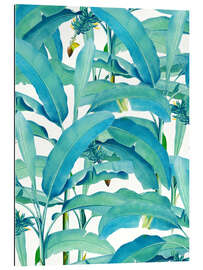 Gallery print Banana Forest