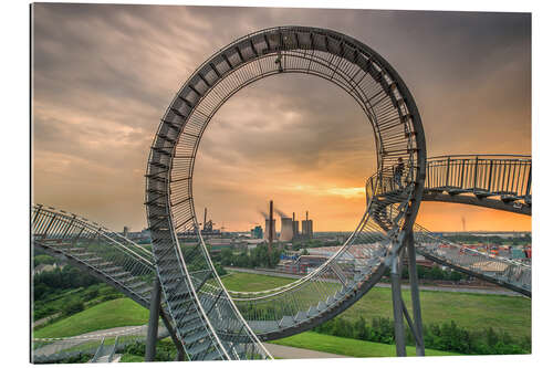 Gallery print Tiger & Turtle Magic Mountain Duisburg