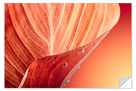 Selvklebende plakat red autumn leaf with drops