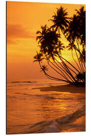 Magnettafel Palmensilhouetten