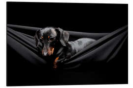 Magnettafel Nachdenklicher Dackel