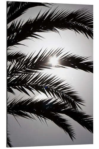 Aluminium print De zon schijnt door