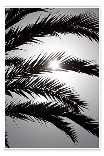 Plakat Promienie słoneczne zza palmy