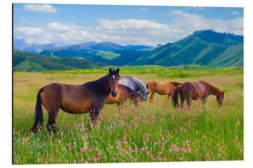 Cuadro de aluminio Flowery pasture