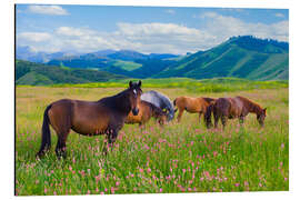 Aluminium print Flowery pasture