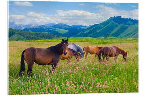 Quadro em plexi-alumínio Flowery pasture