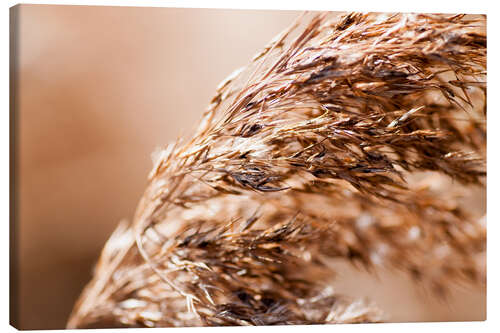 Leinwandbild wehendes Gras