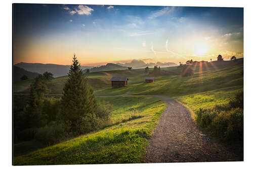 Alumiinitaulu Seiser Alm in the morning, South Tyrol