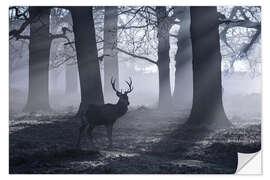 Sisustustarra A male red deer stag waits in the early morning mists of Richmond park, London.