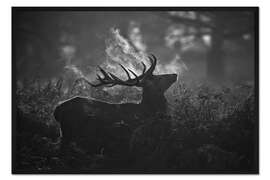 Gerahmter Kunstdruck A large male deer stag bellows out in a cold winter landscape of Richmond park, London.