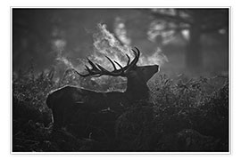 Kunstwerk  A large male deer stag bellows out in a cold winter landscape of Richmond park, London. - Alex Saberi