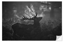 Naklejka na ścianę A large male deer stag bellows out in a cold winter landscape of Richmond park, London.