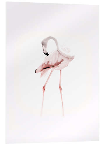 Cuadro de metacrilato The Flamingo