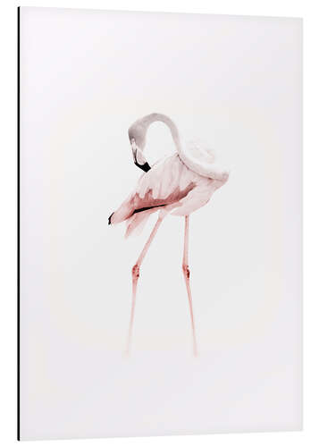 Alubild Der Flamingo