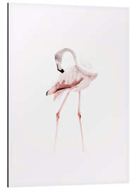 Alubild Der Flamingo