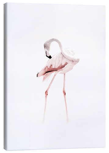 Leinwandbild Der Flamingo