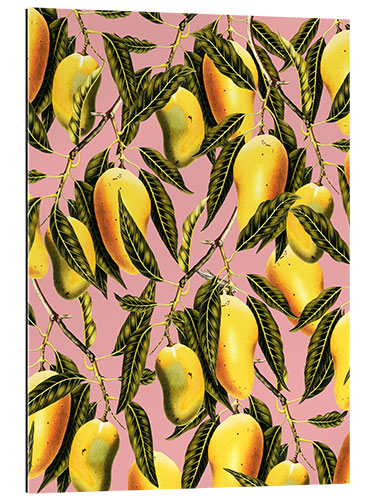 Gallery print Mango Season