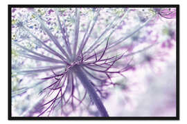 Gerahmter Kunstdruck Allium