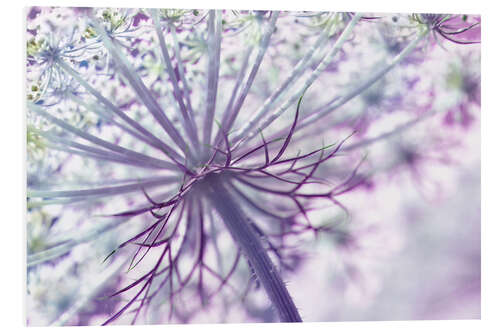 Foam board print Allium