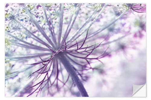 Wall sticker Allium