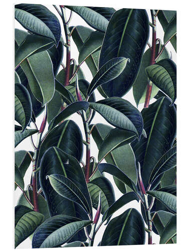 Stampa su PVC Rubber tree