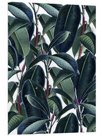 Foam board print Rubber tree