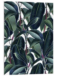 Gallery print Rubber tree