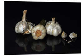 Aluminium print garlic family