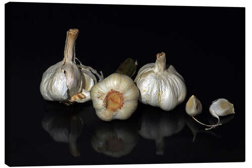 Stampa su tela garlic family