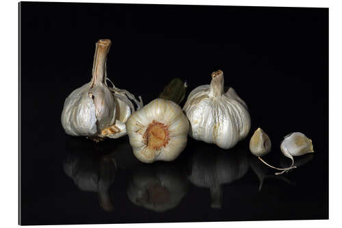 Galleritryck garlic family