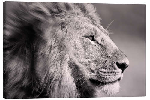 Canvas print The Lion King