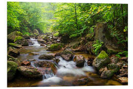 Hartschaumbild Harz Wald