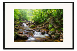 Gerahmter Kunstdruck Harz Wald