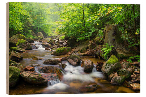 Stampa su legno Harz Forest