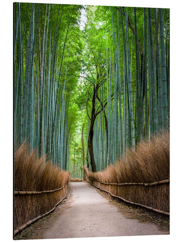 Quadro em alumínio Bamboo Forest in Kyoto Sagano Arashiyama, Japan