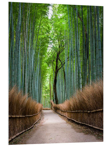 Hartschaumbild Bambuswald in Kyoto Sagano Arashiyama, Japan