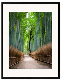 Gerahmter Kunstdruck Bambuswald in Kyoto Sagano Arashiyama, Japan - Jan Christopher Becke