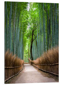 Galleriprint Bamboo Forest in Kyoto Sagano Arashiyama, Japan