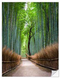 Selvklebende plakat Bamboo Forest in Kyoto Sagano Arashiyama, Japan