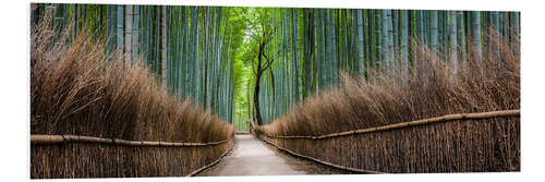 Tableau en PVC Forêt de bambou à Sagano Arashiyama à Kyoto, Japon