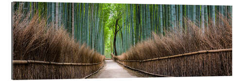 Cuadro de plexi-alu Bamboo Forest Panorama in Sagano Arashiyama in Kyoto, Japan