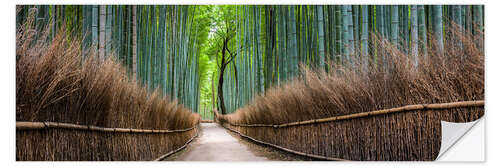 Wall sticker Bamboo Forest Panorama in Sagano Arashiyama in Kyoto, Japan