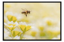 Gerahmter Kunstdruck Busy