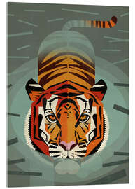 Acrylic print  Swimming tiger - Dieter Braun