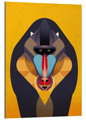 Aluminium print Mandrill