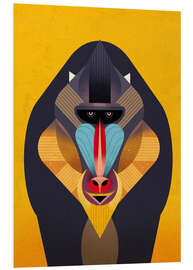 Foam board print Mandrill