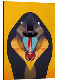 Magnettafel Mandrill